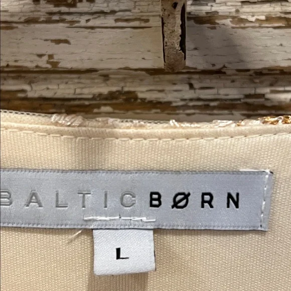 Baltic Born Cynthia Cream Embroidered Tulle Tier Midi Dress Size Large - Picture 6 of 11